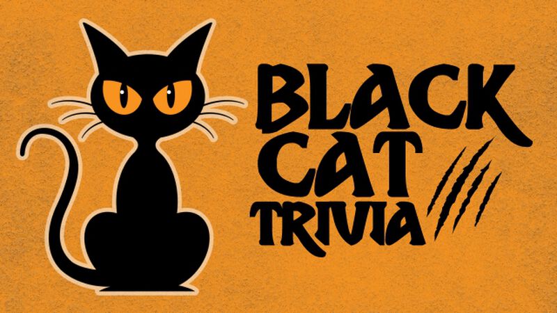 Black Cat Trivia